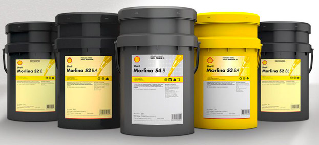 shell_morlina_nuevo05